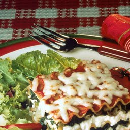 Frozen entree Lasagna with meat & sauce