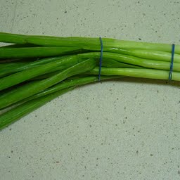 Raw Spring or scallions (includes tops and bulb) Onions