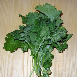 brokoliai-raab