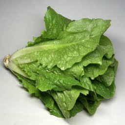 salati