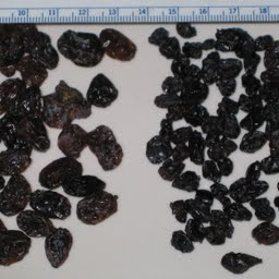raisins-de-corinthe