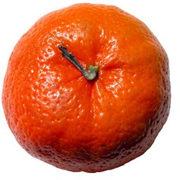 tangeriner