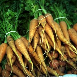porkkanat