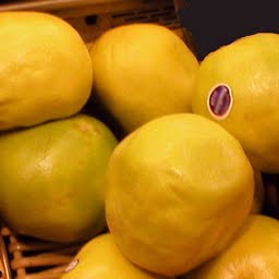 pomelo