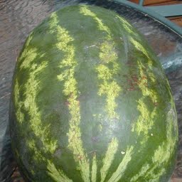 melon-deau